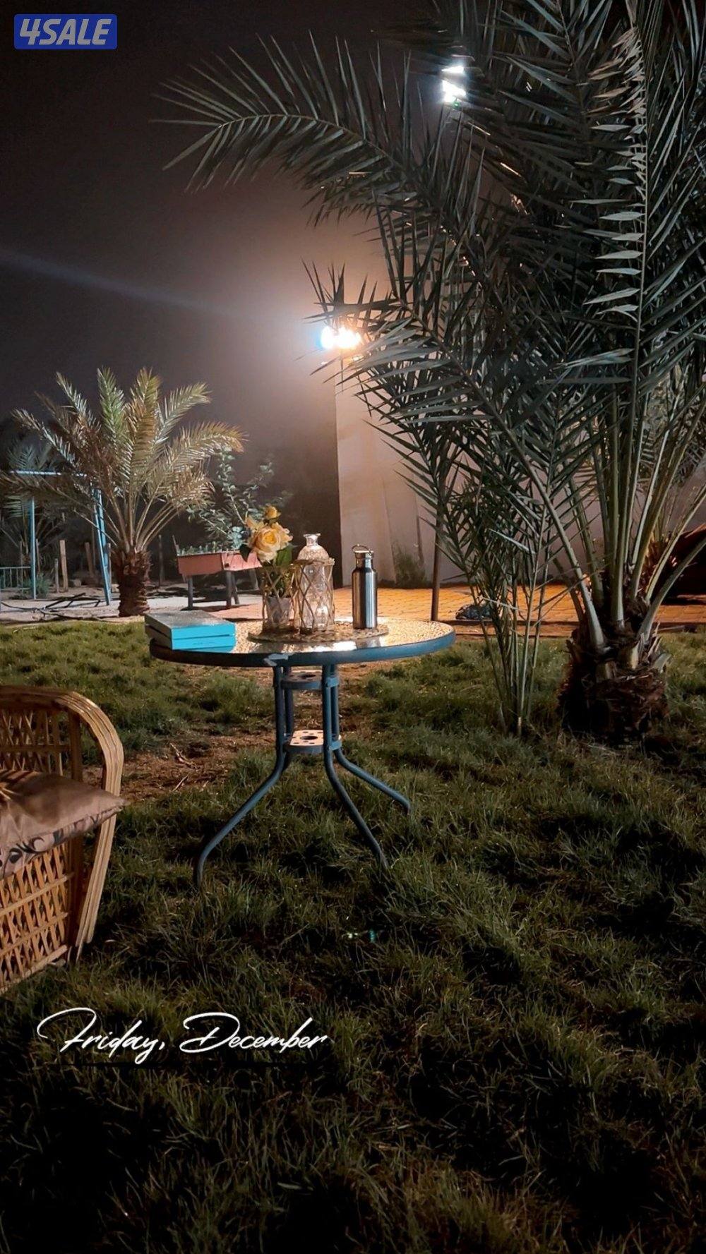 العبدلي ..،13