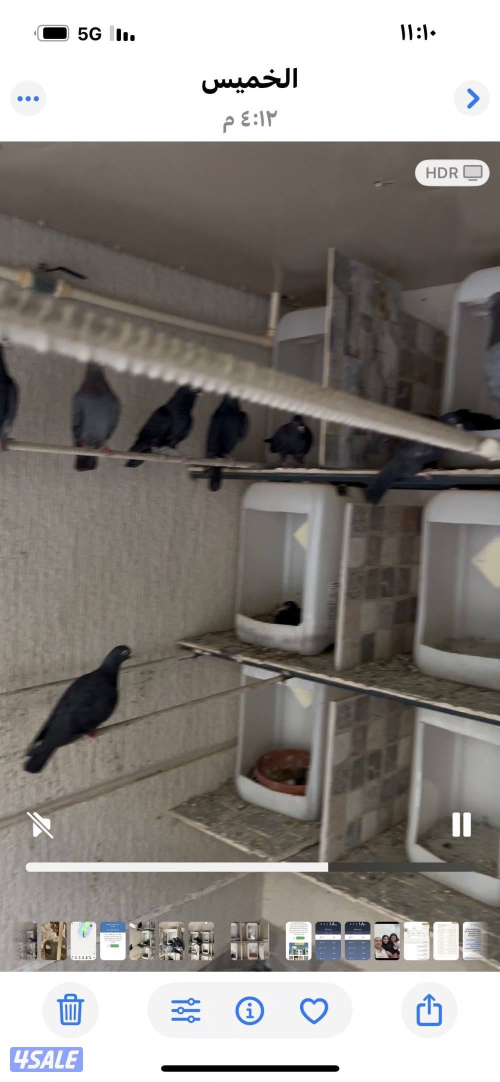 للبيع وقواق صنعاوي1