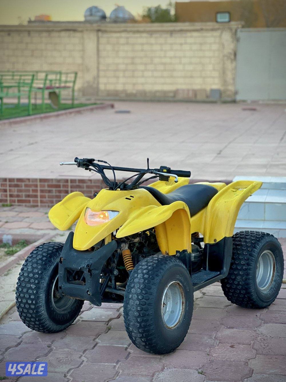 100 CC Amiri Buggy0