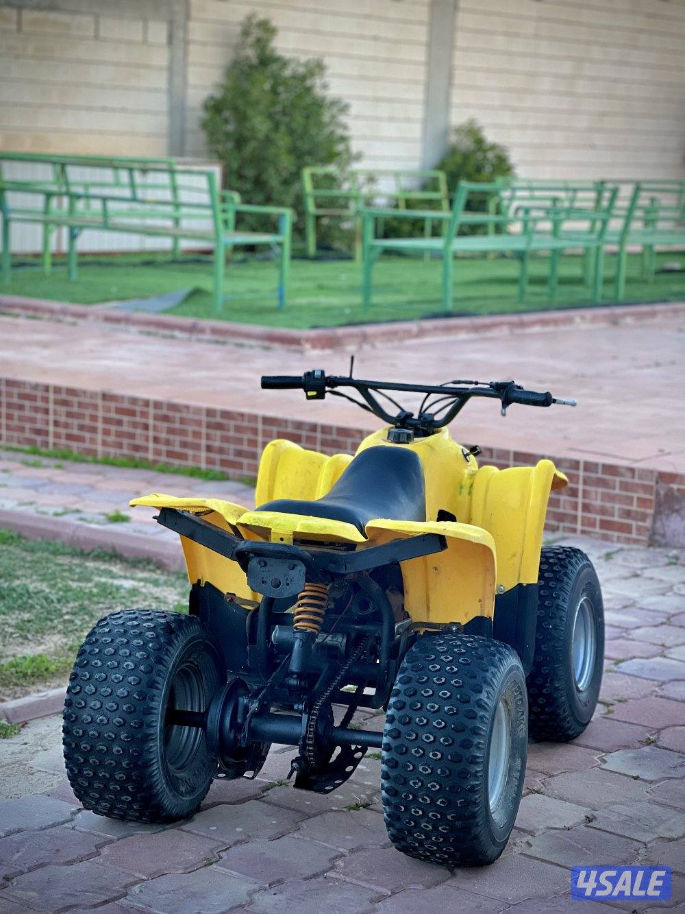 100 CC Amiri Buggy1