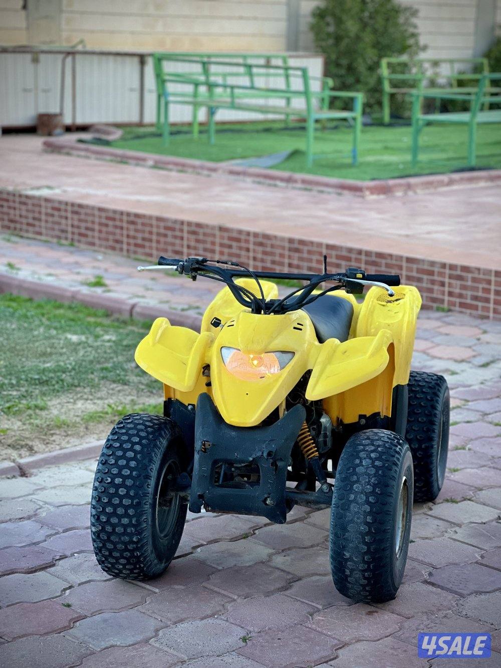 100 CC Amiri Buggy3