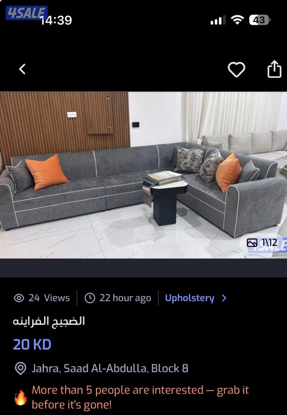 الضجيج الفراينه4