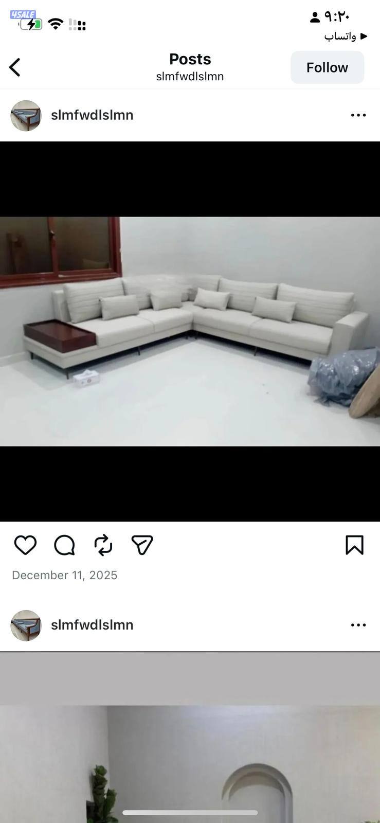 الفرعونيه الدقيق9