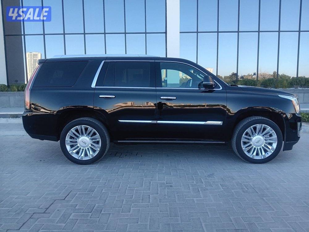 اسكالد بلاتينيوم  مميز رقم سياره مميز1