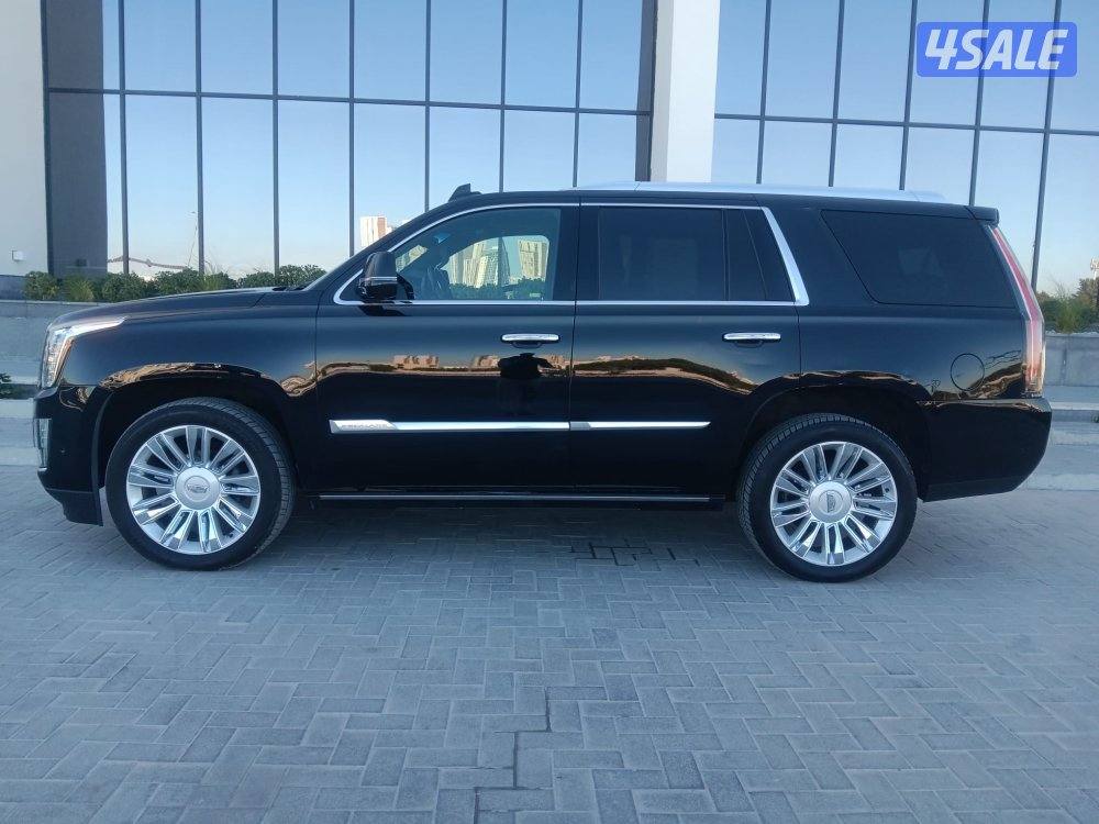 اسكالد بلاتينيوم  مميز رقم سياره مميز9