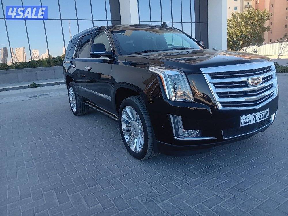 اسكالد بلاتينيوم  مميز رقم سياره مميز11