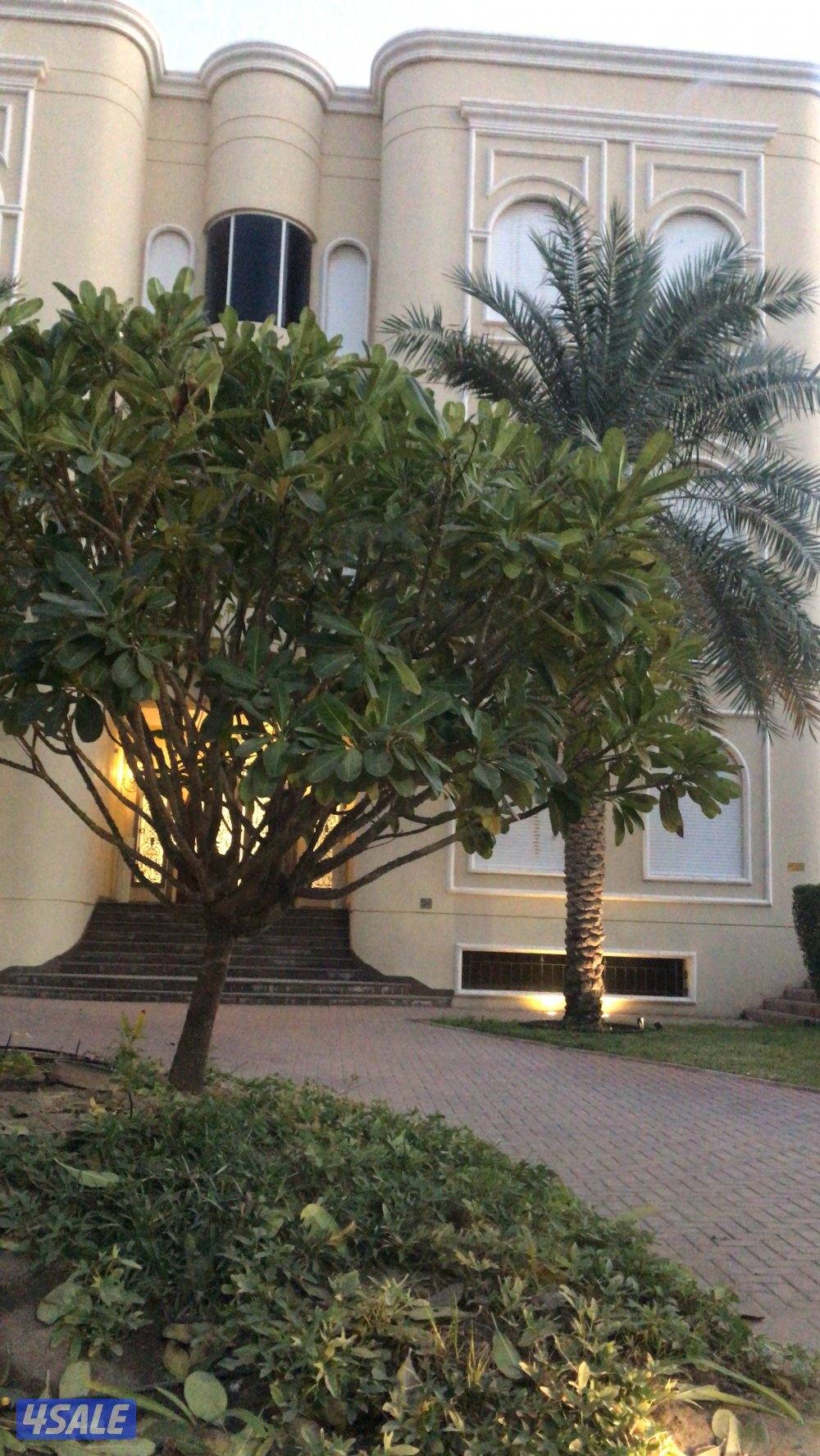 Vila for rent in Mushrofi0