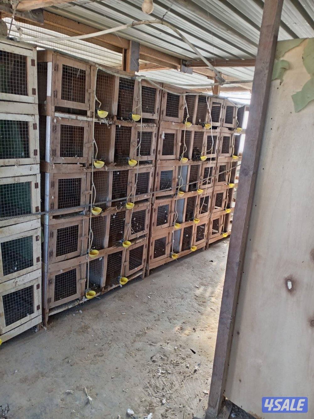 خانات للبيع1