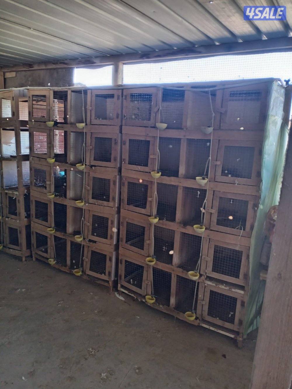 خانات للبيع2