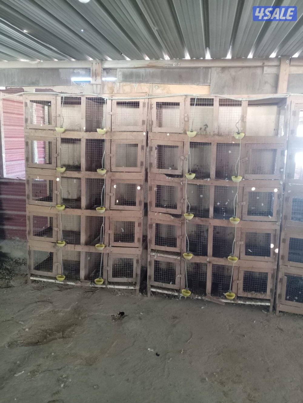 خانات للبيع5