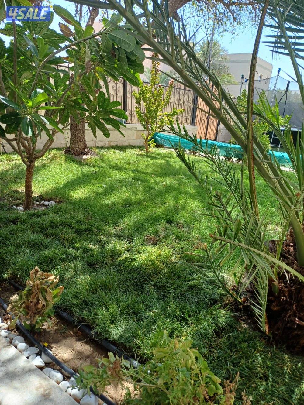 تنسيق حدائق ابو عبدالله7