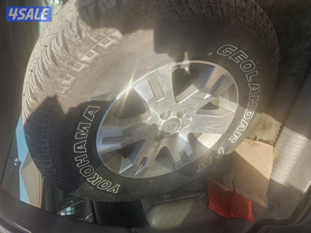 تواير يوكوهاما شبه جدد1