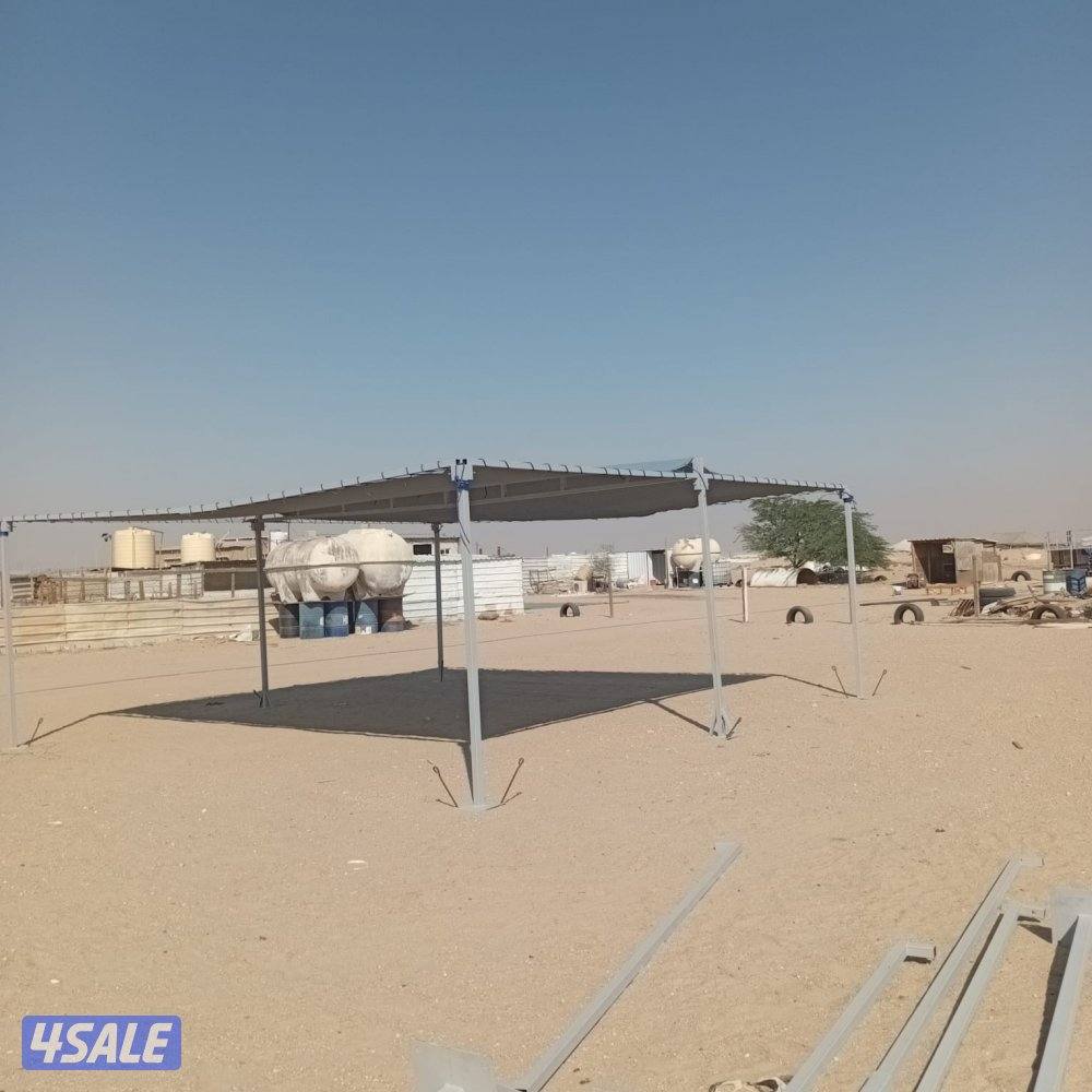 شبوك ومظلات غنم1