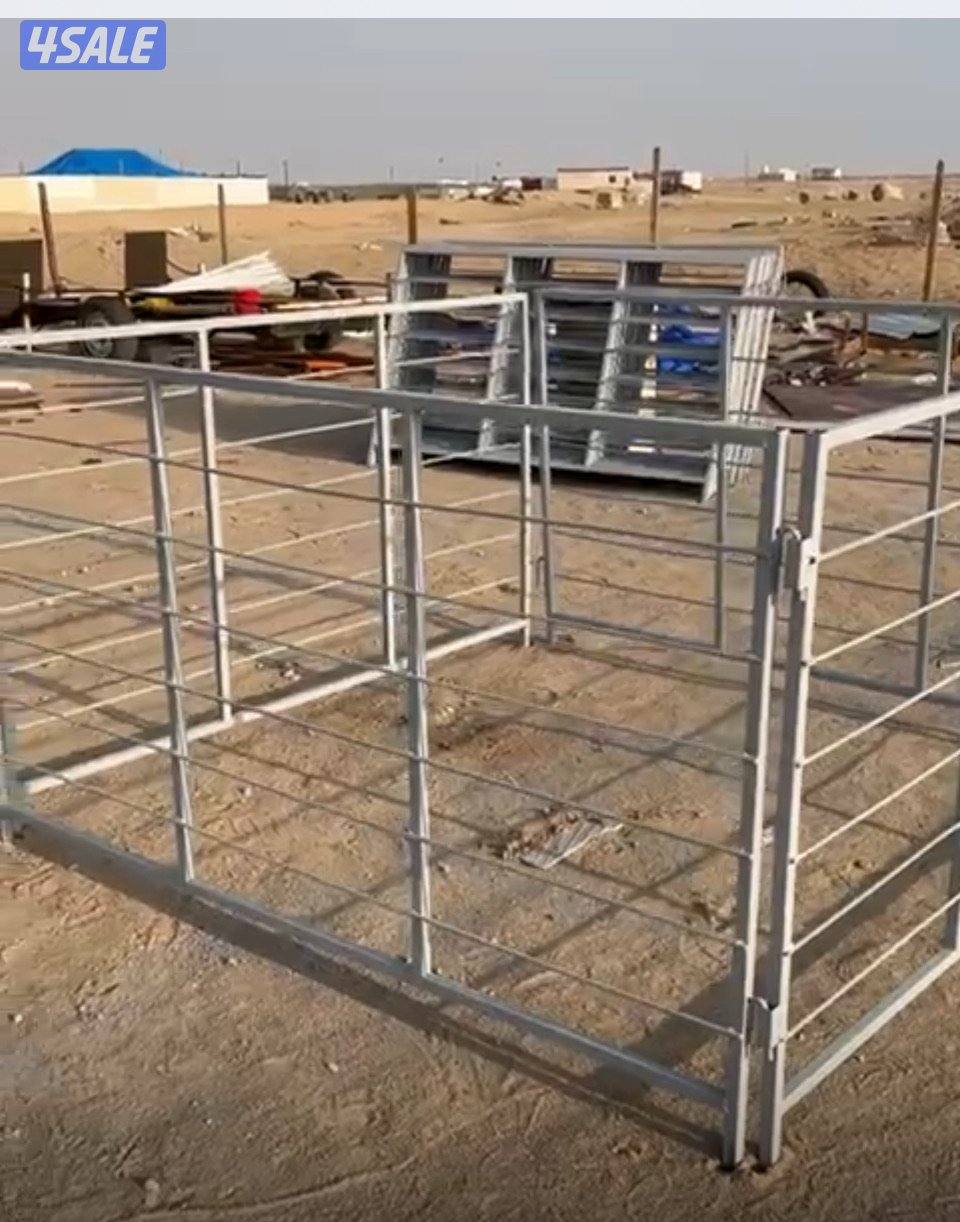 شبوك ومظلات غنم3