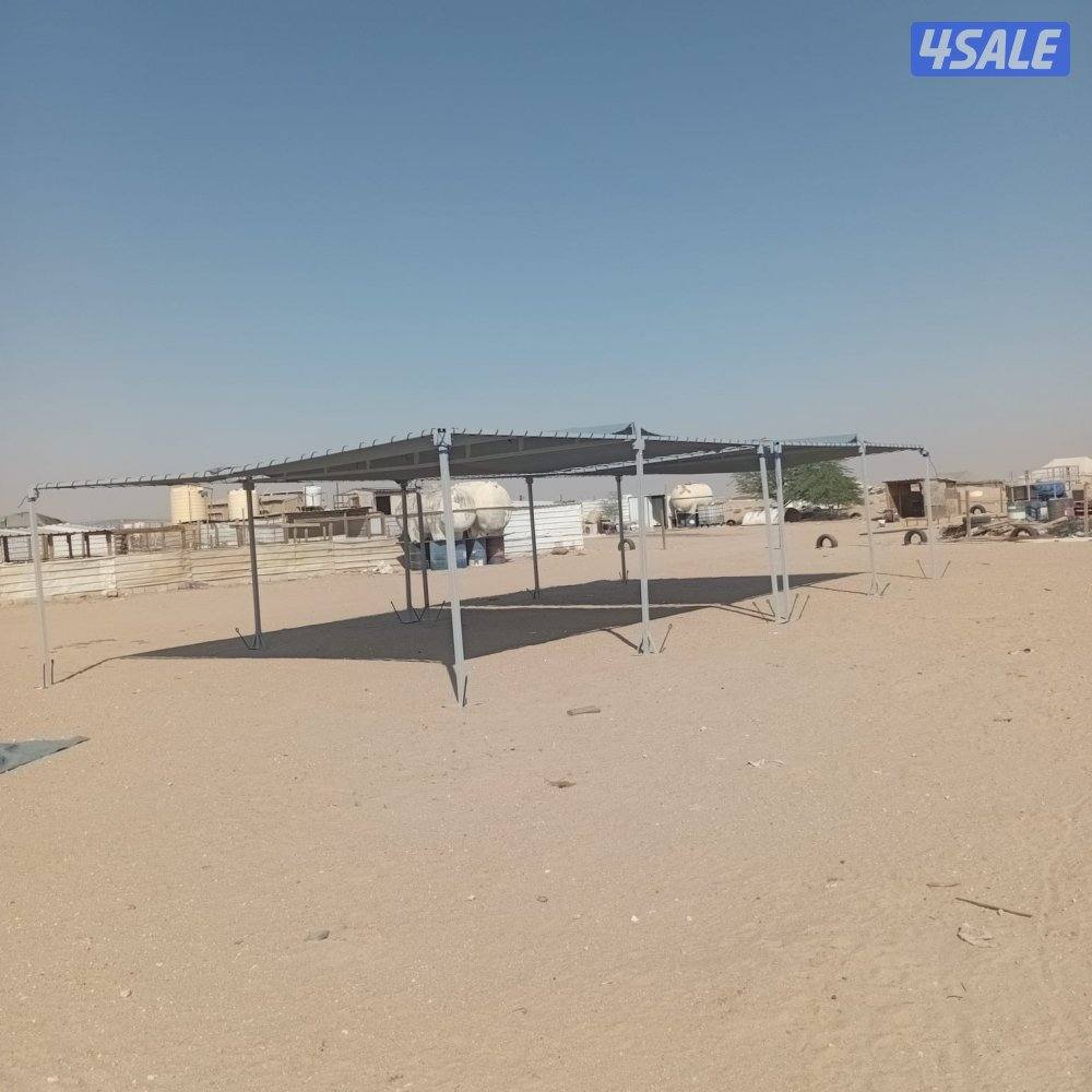 شبوك ومظلات غنم2