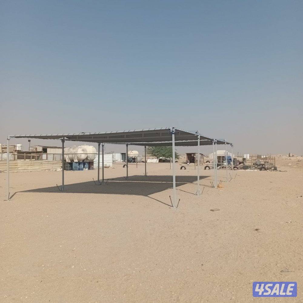 شبوك ومظلات غنم6