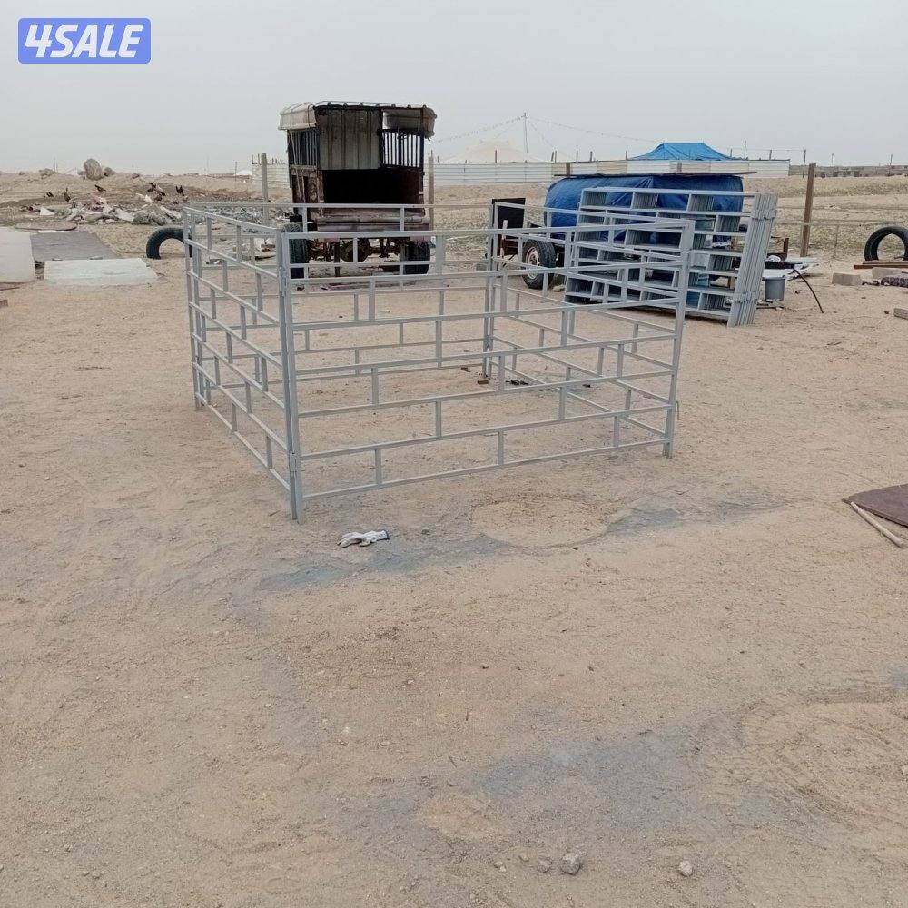 شبوك ومظلات غنم10