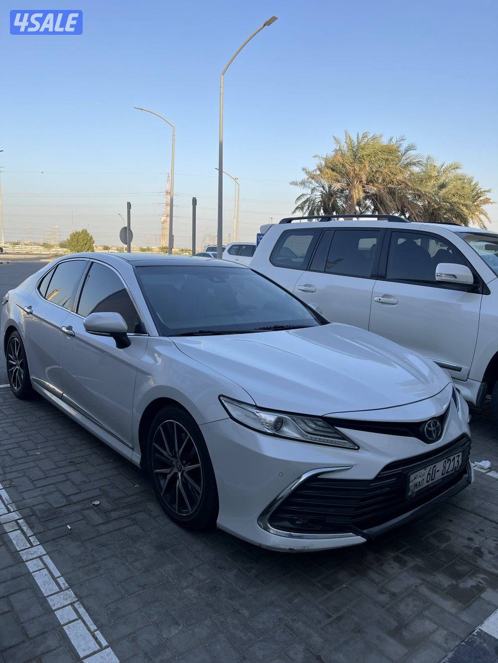 التواصل واتس أب فقط5