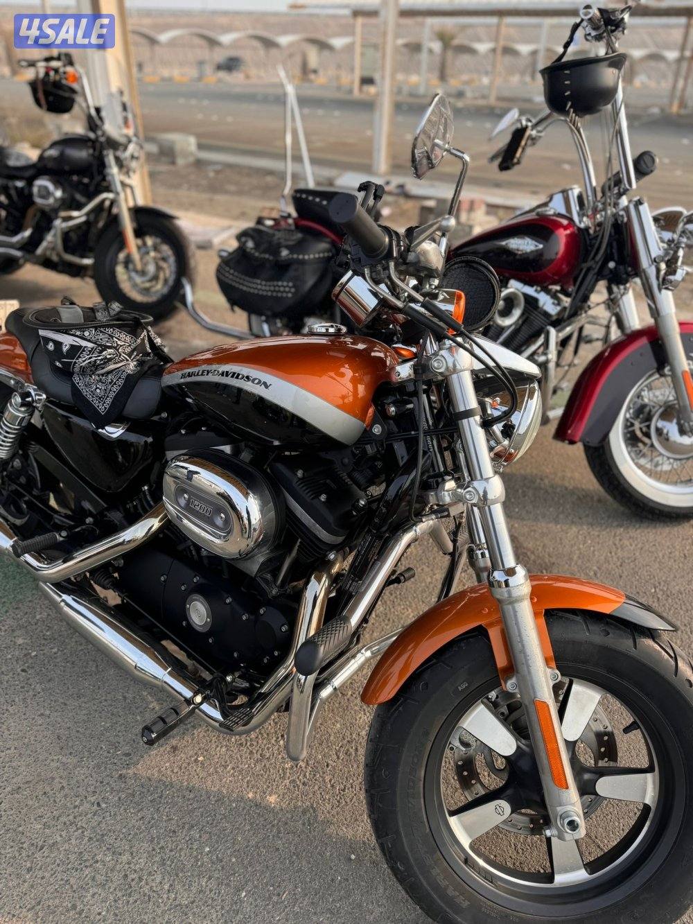 HARLEY SPORTSTER CUSTOM1