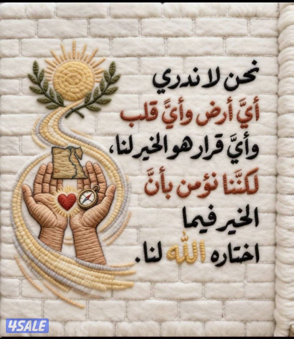 فيلا جابر العلى ق2/بيت الظهر ق4/بيت جابر العلى ق1/شقه الصباحيه /ادوار0