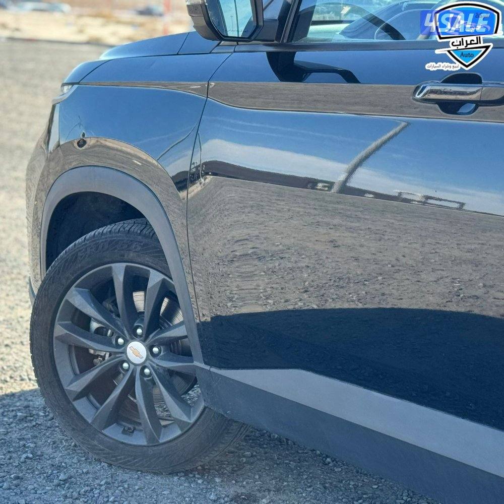 شفر كابتيفا  20234