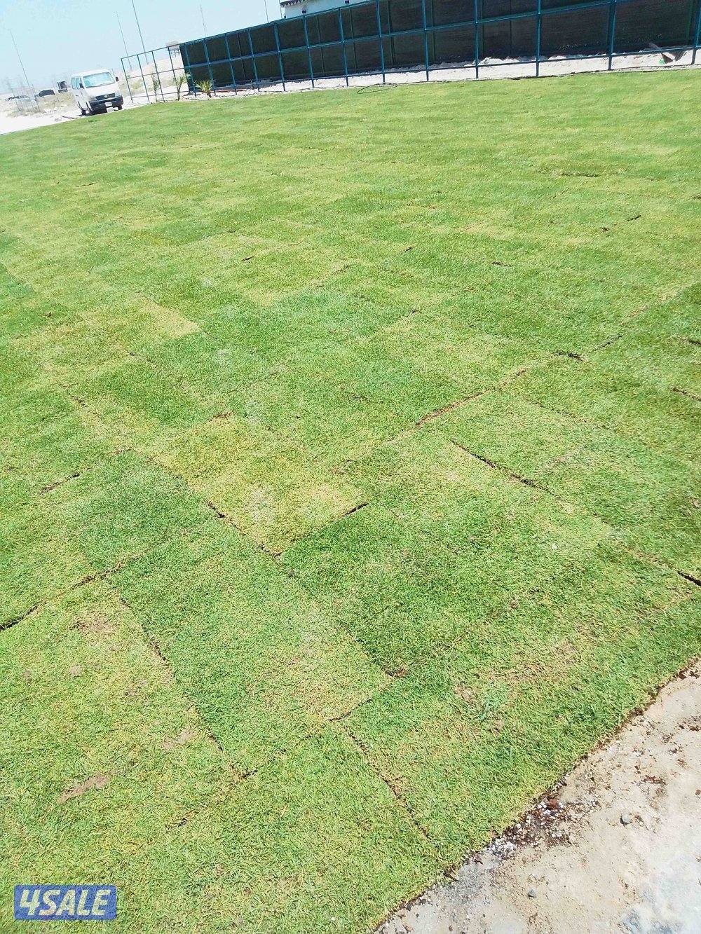 تنسيق حدائق تركيب شبكات الري العاديةوا لكمبيوتر تركيب تيل صناعى وتيل ط1