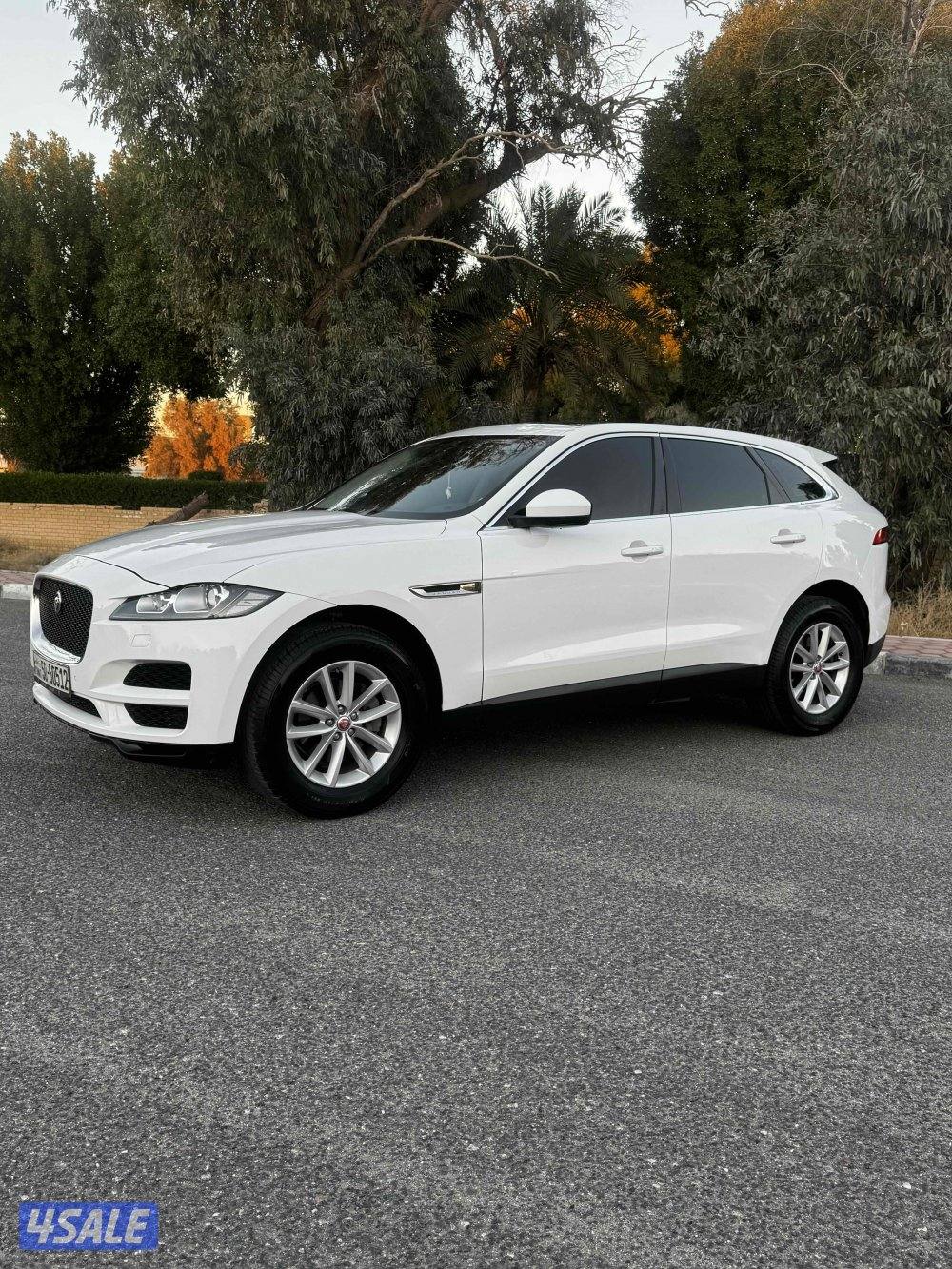 Jaguar  2018  صبغ الوكاله3