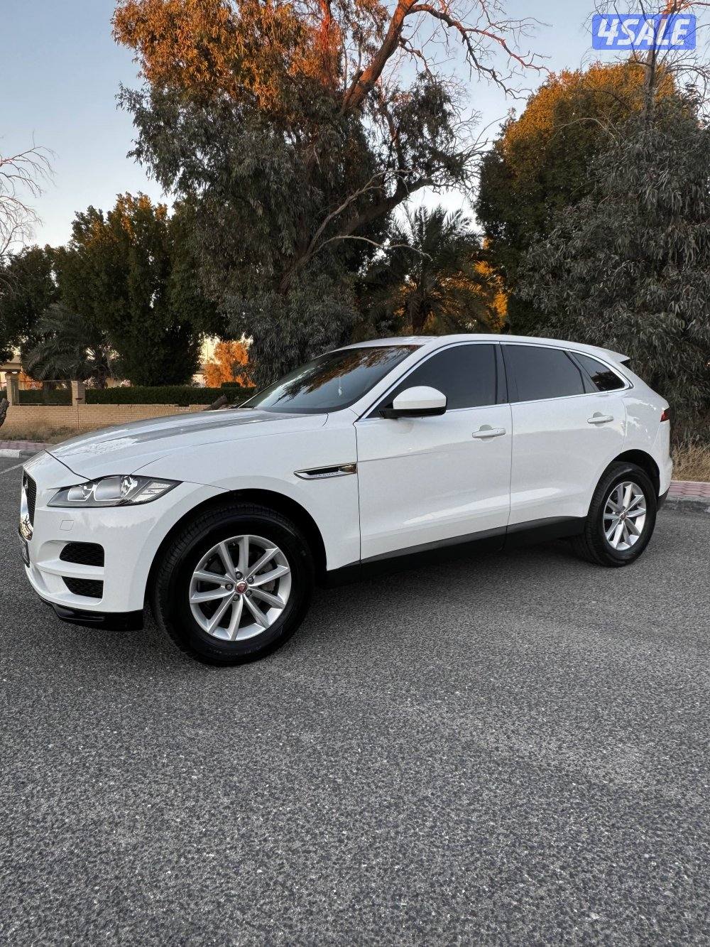 Jaguar  2018  صبغ الوكاله12