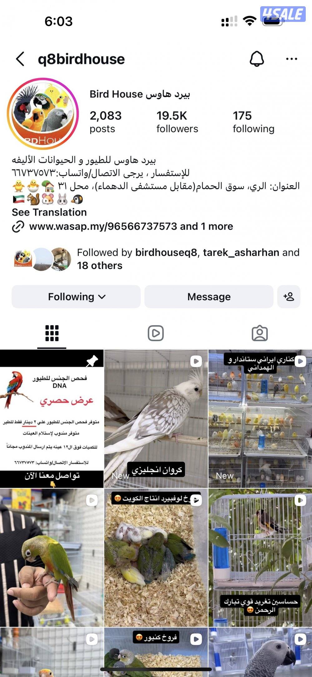 دفعة كناري ايراني، فنشات و كروان14