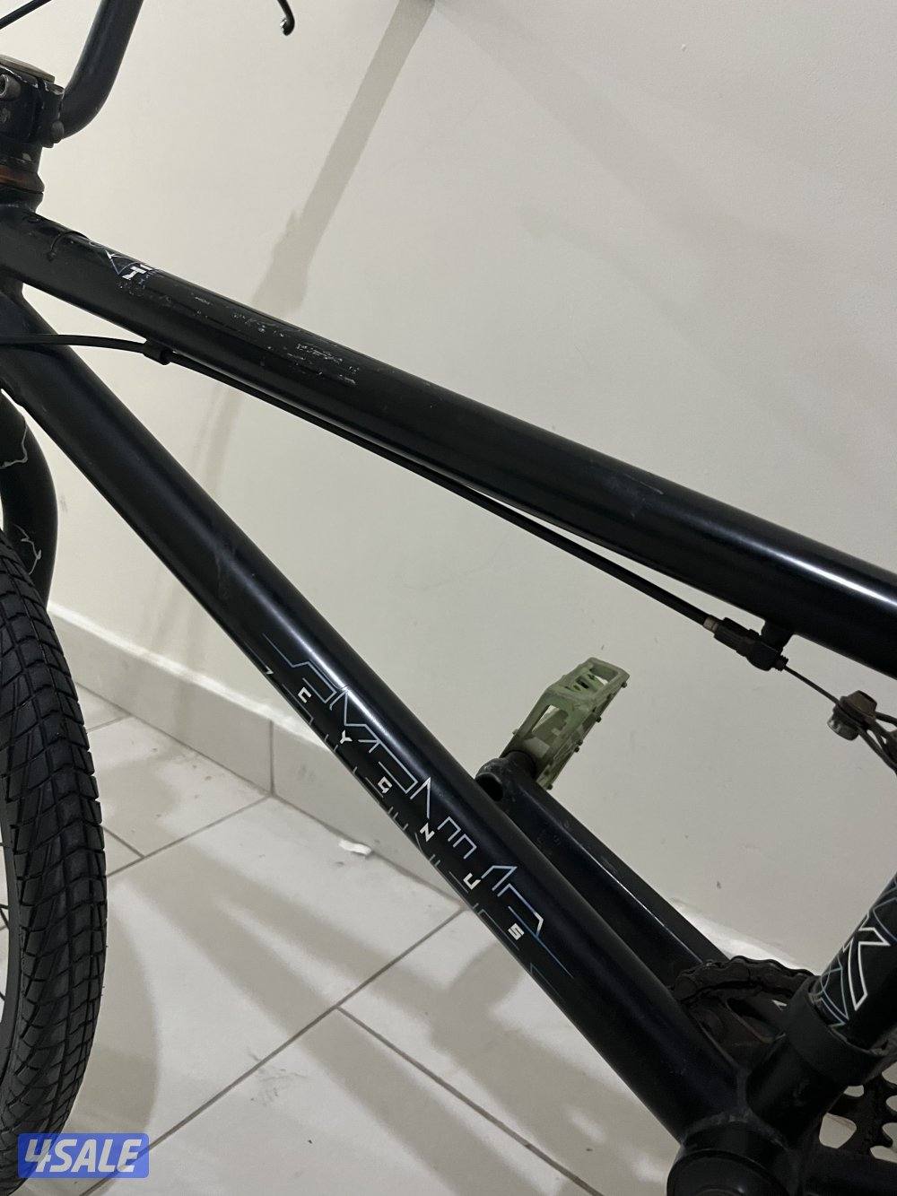 قاري dk Cygnus اصلي1