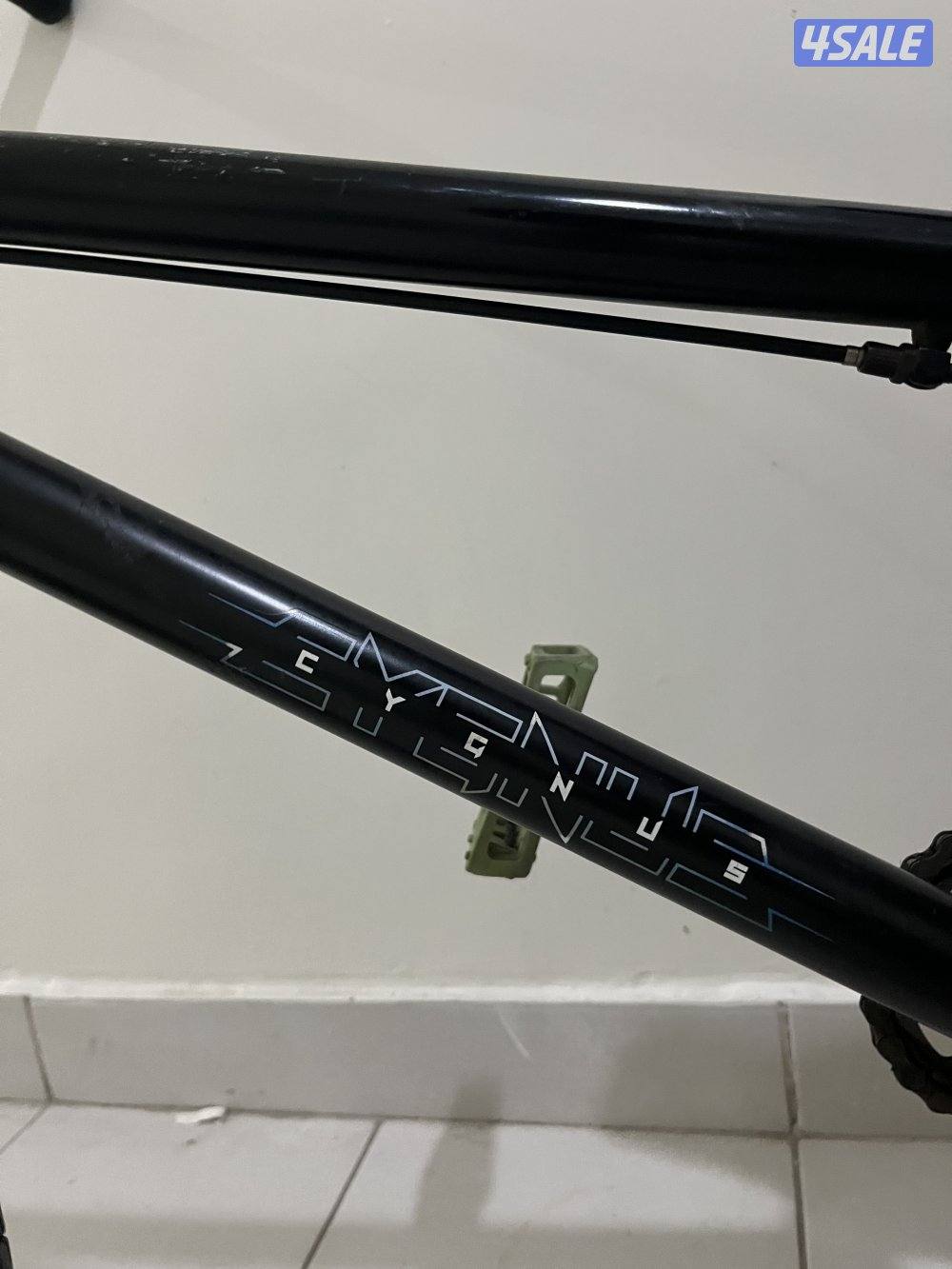 قاري dk Cygnus اصلي5