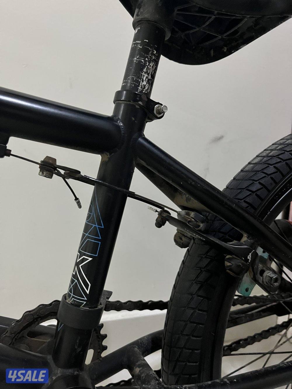 قاري dk Cygnus اصلي7