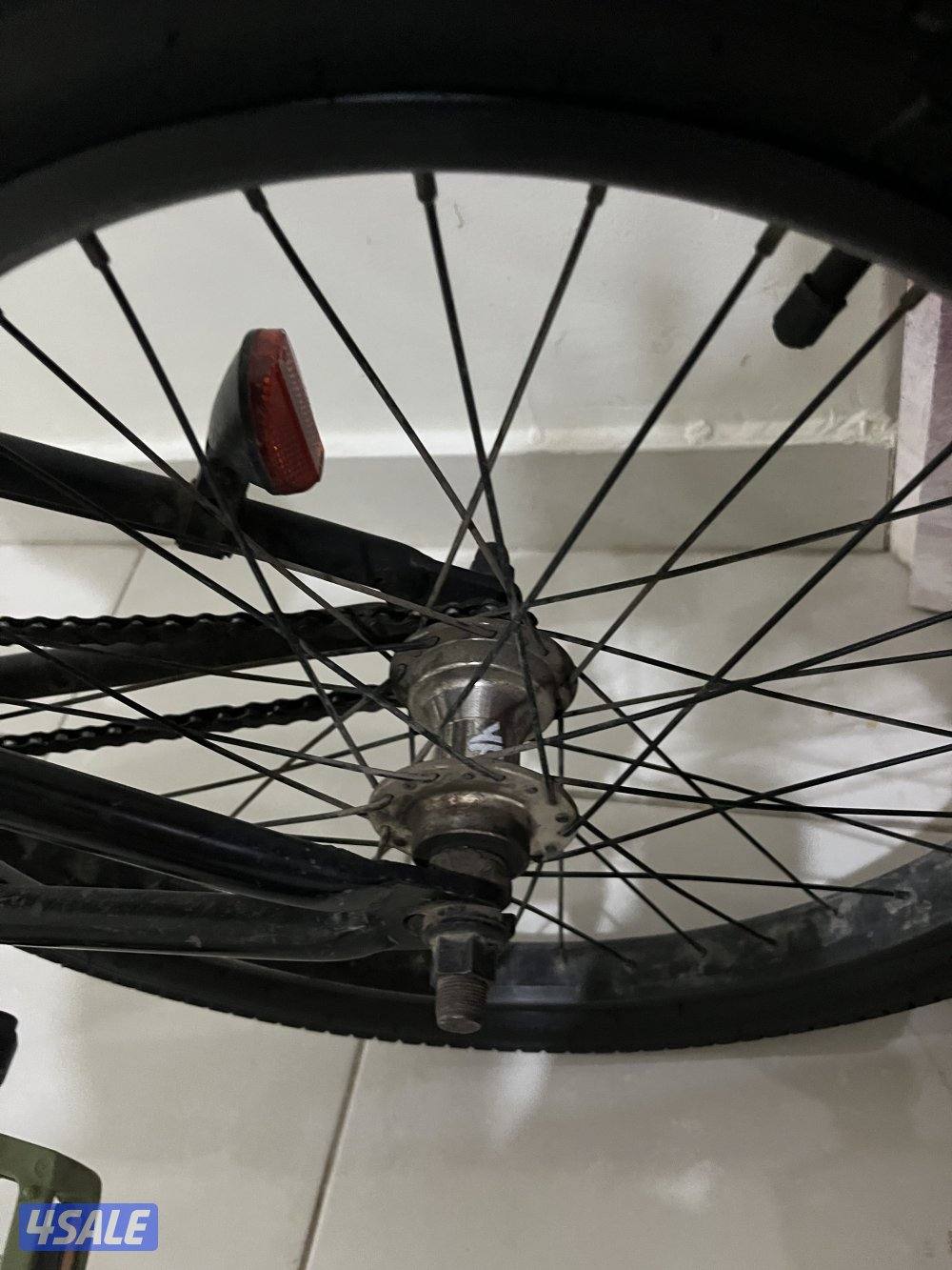 قاري dk Cygnus اصلي9