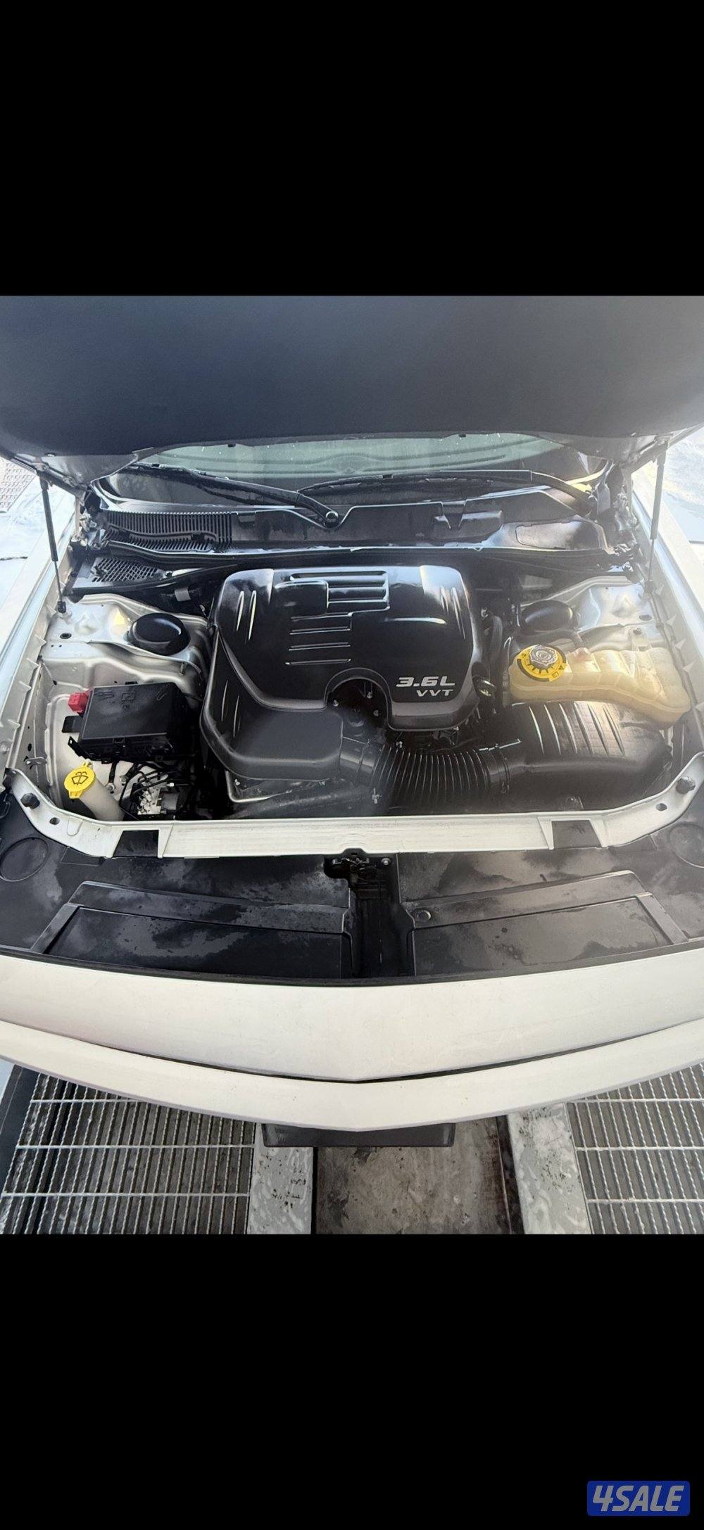 المسايل قطعة 515