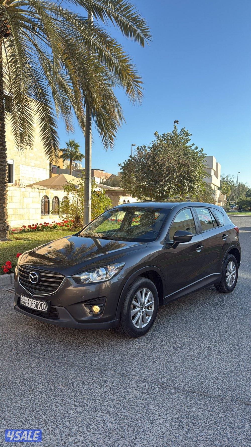 صبغ الوكاله2