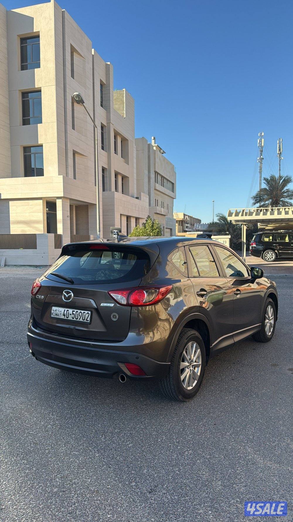 صبغ الوكاله4