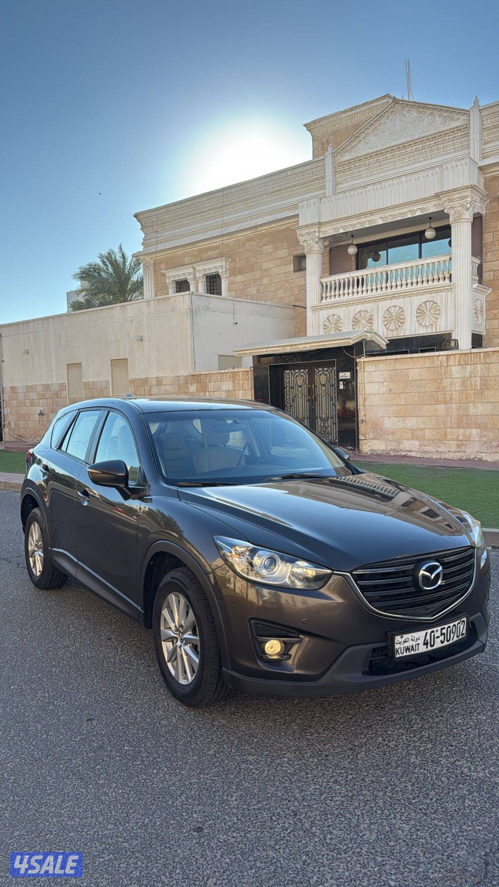 صبغ الوكاله5