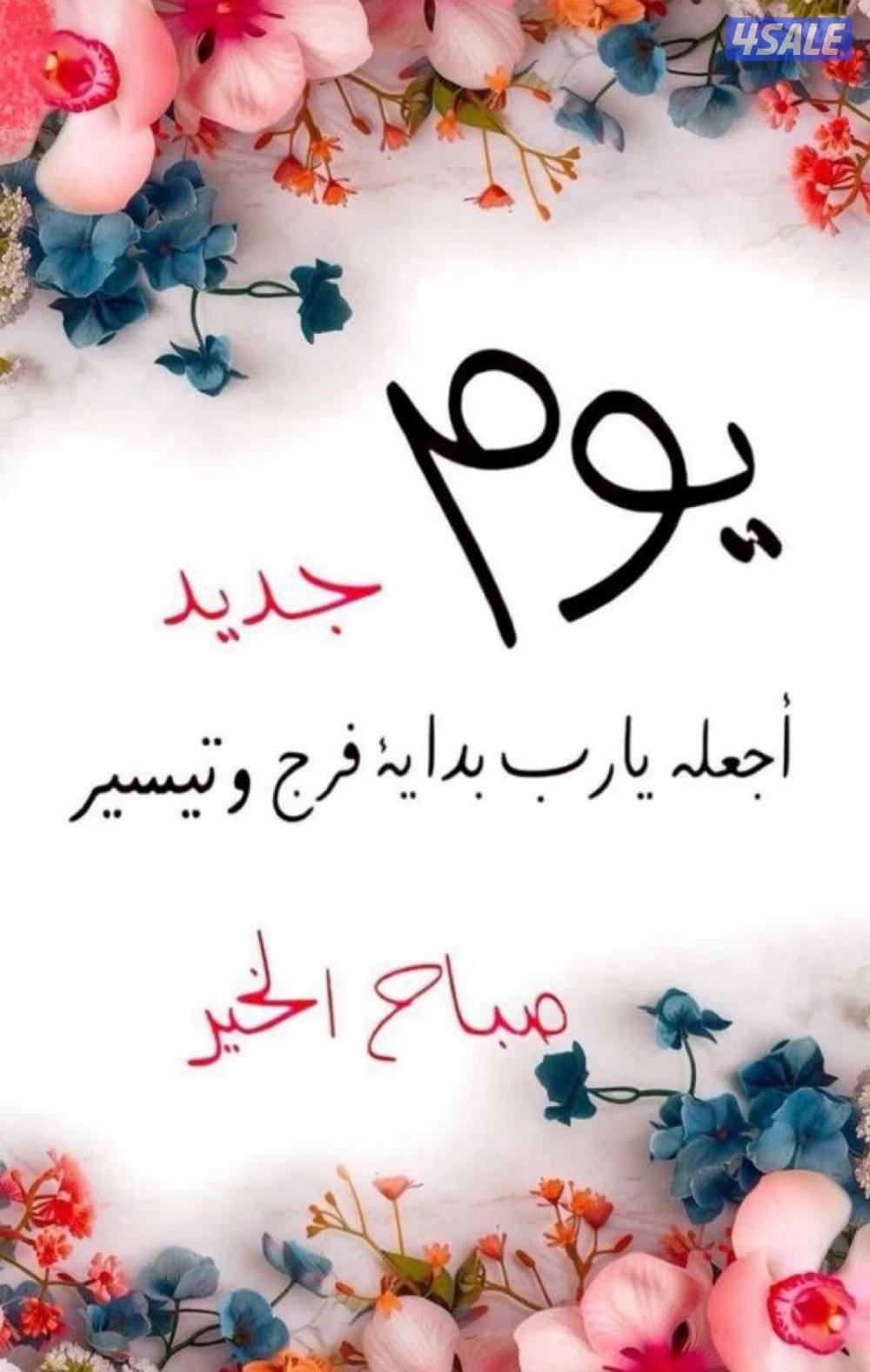 للايجار شقة شمال غرب الصليبيخات0