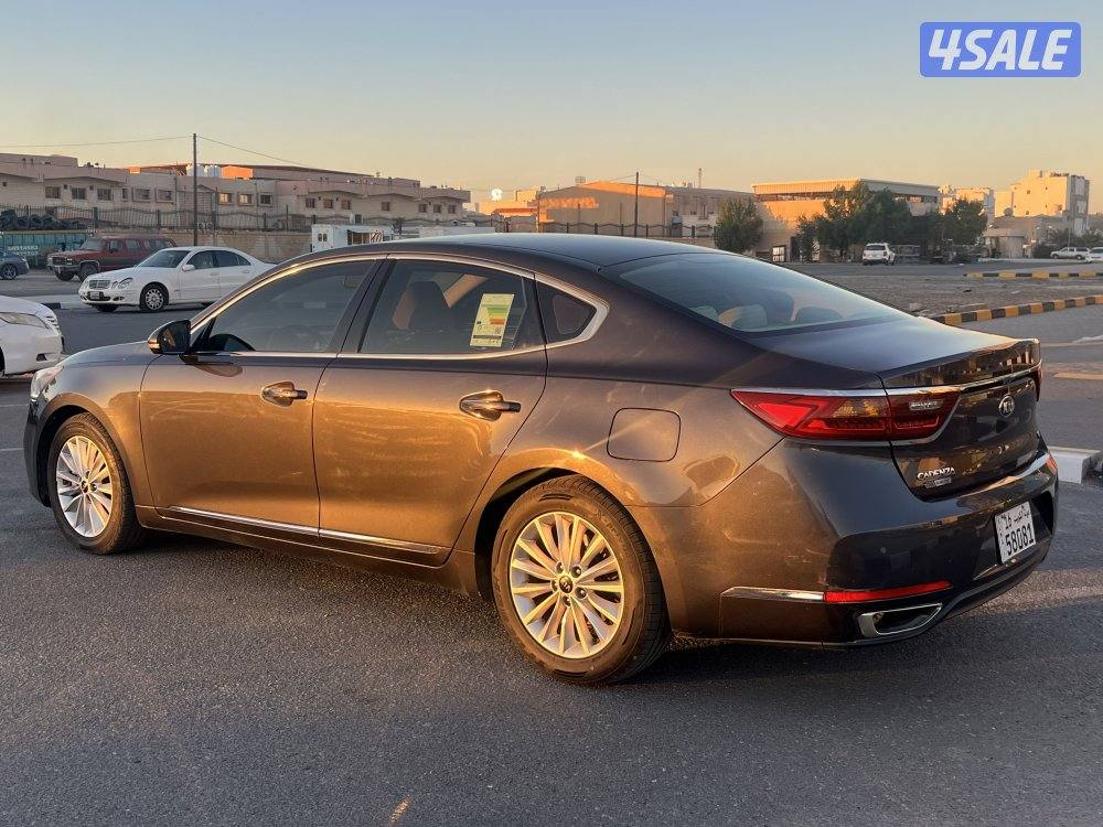 للبيع كادينزا 2019 صبغ الوكاله عدا قطعه2