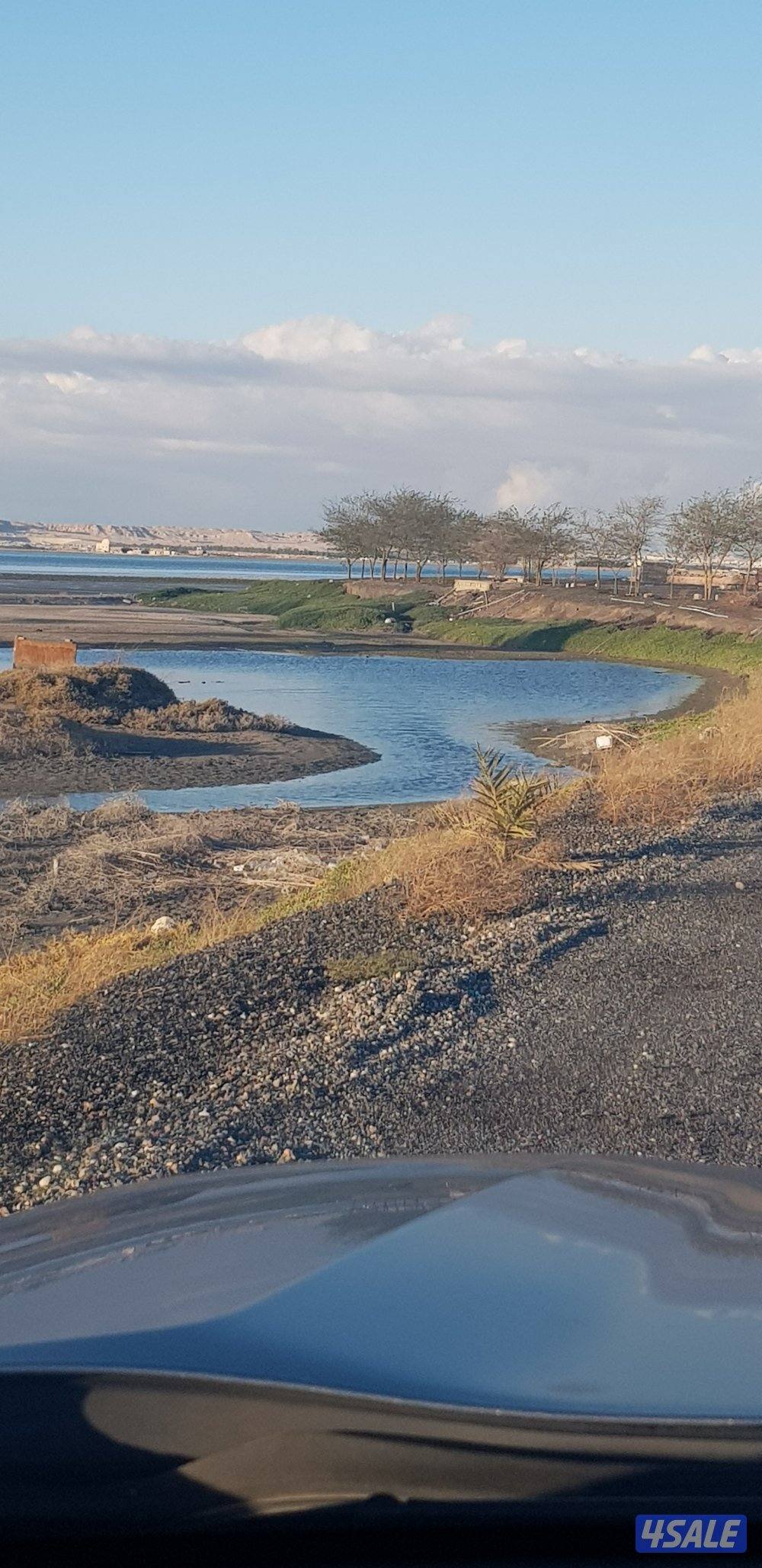 توصيل طلبه وموظفات0