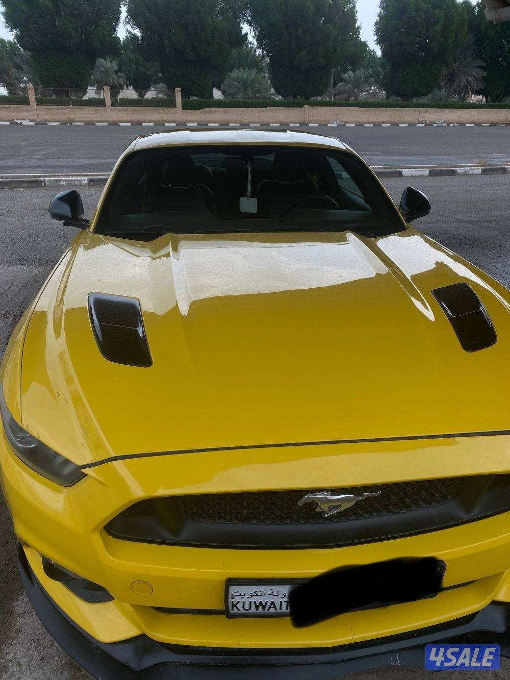 للبيع موستانج 2015 فايف زيرو اصفر ملكي4