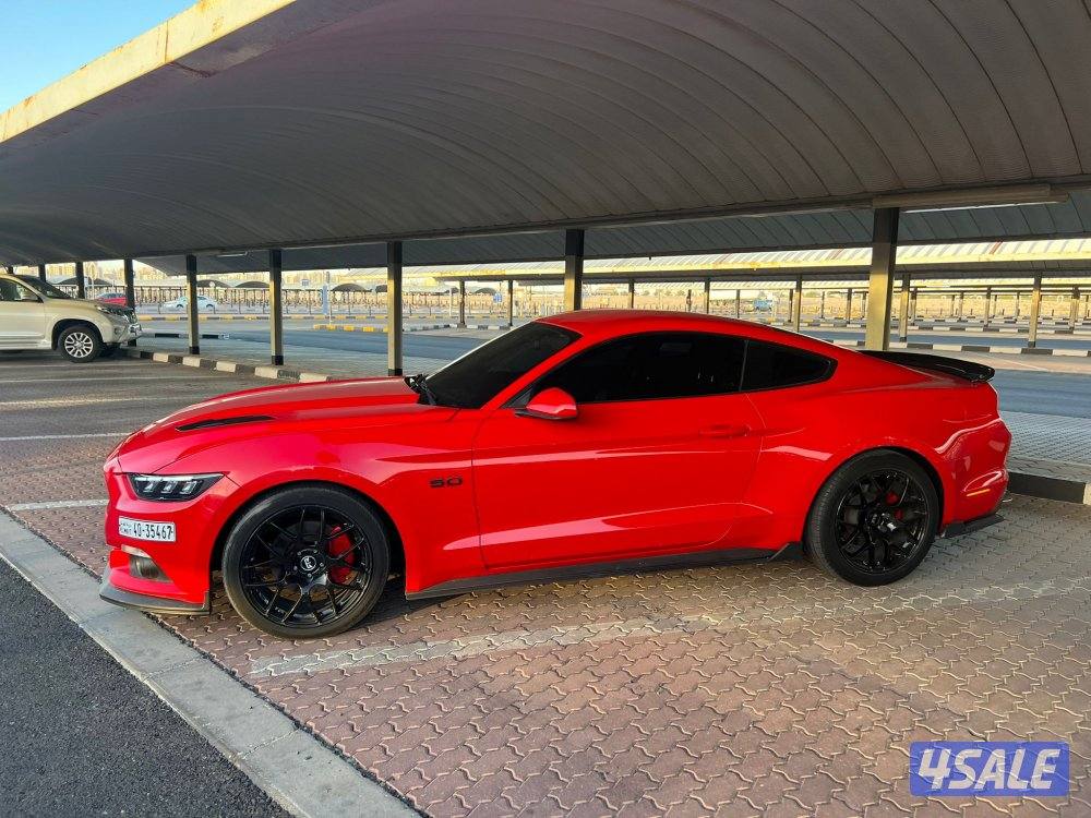 موستنج ٢٠١٥0