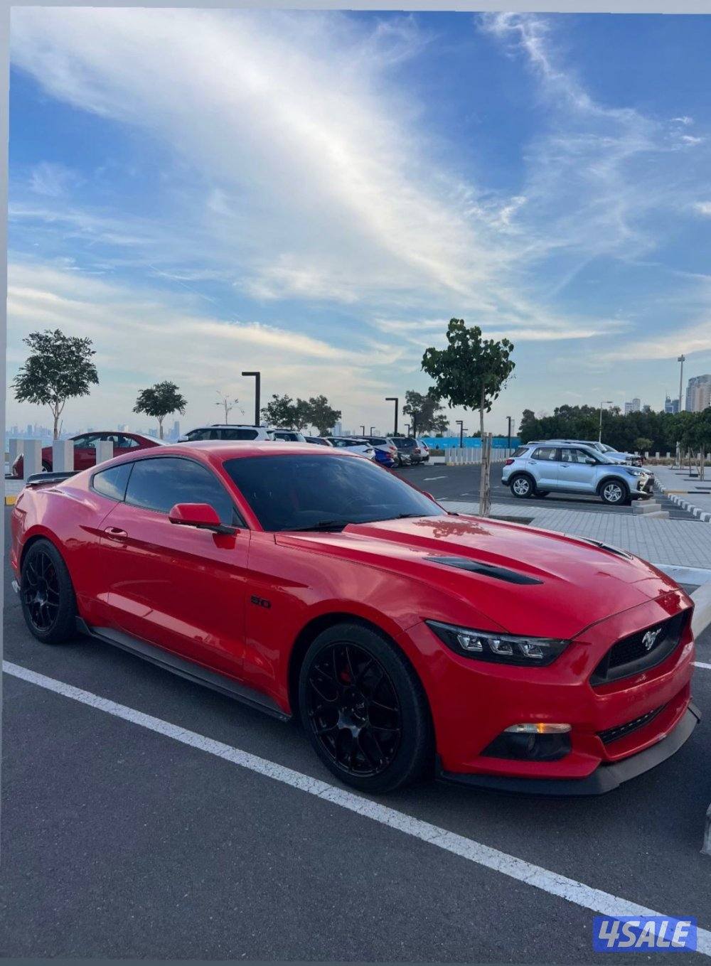 موستنج ٢٠١٥2