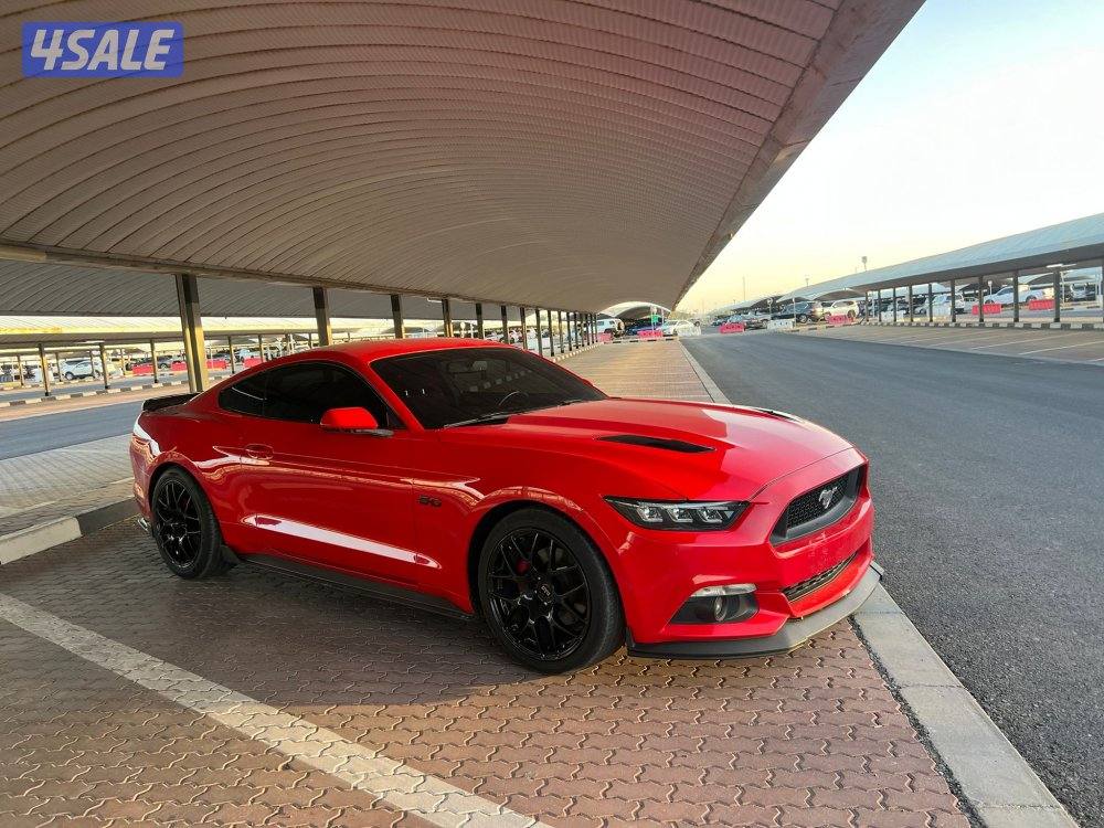 موستنج ٢٠١٥4