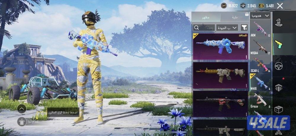 للبيع حساب ببجي5