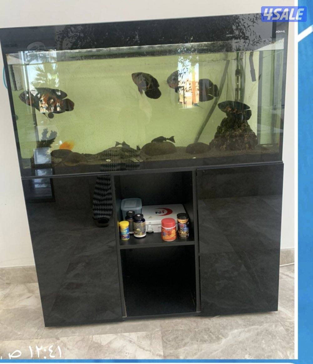 للبيع حوض سمك مع اسماك + نافوره + لوحه فنيه قديمه للفنان ايوب حسين0