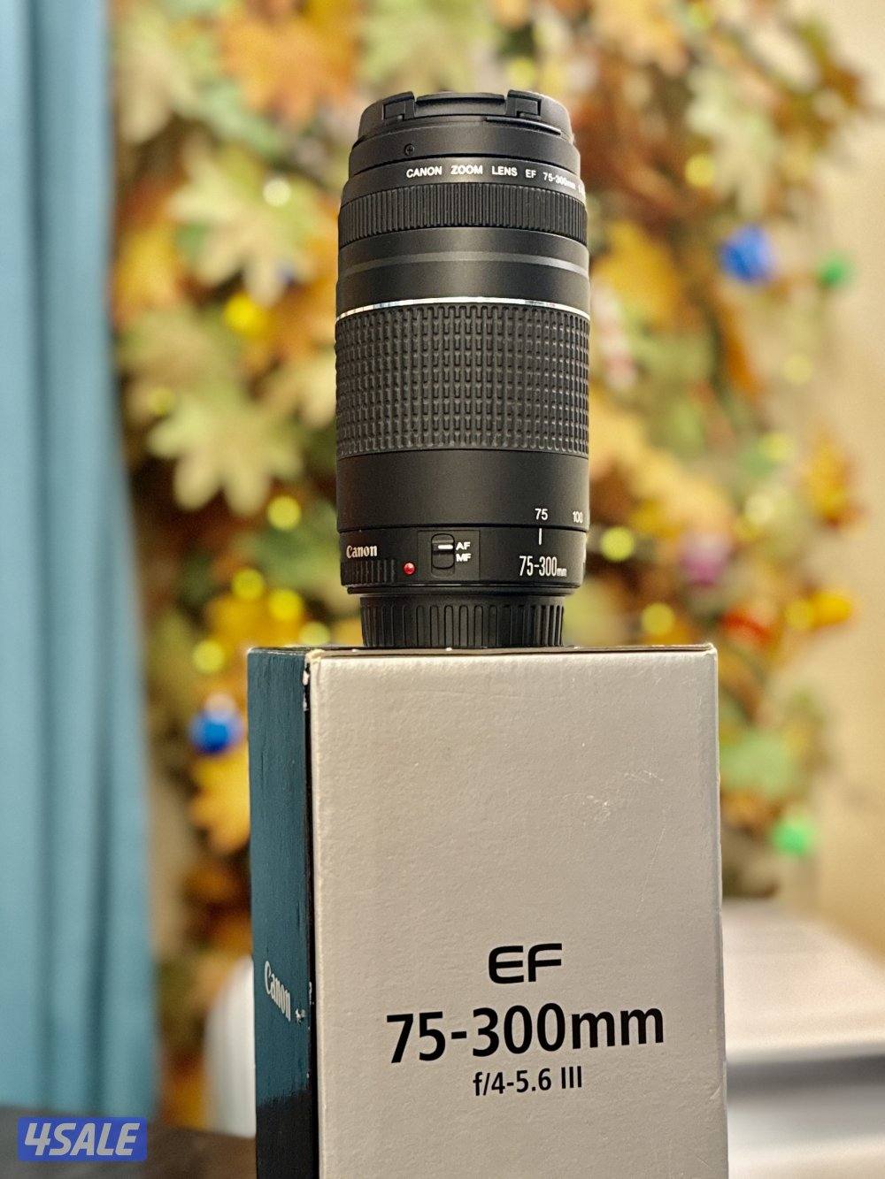 Canon zoom lens0