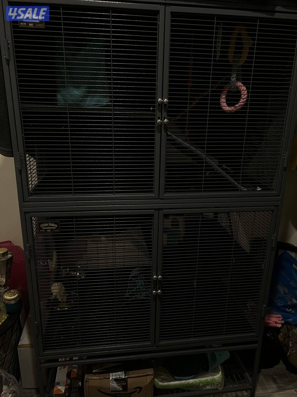 شوقر قلايدر0