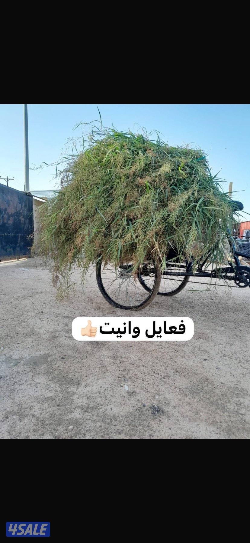 للمزارع والاستراحات1