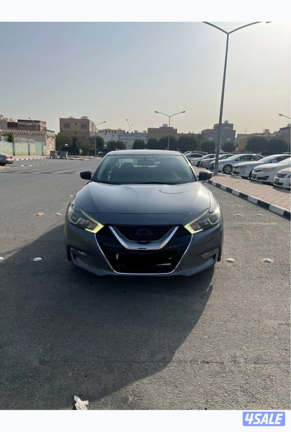 للبيع ماكسيما 20160